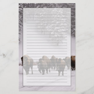 Bison i vinter brevpapper