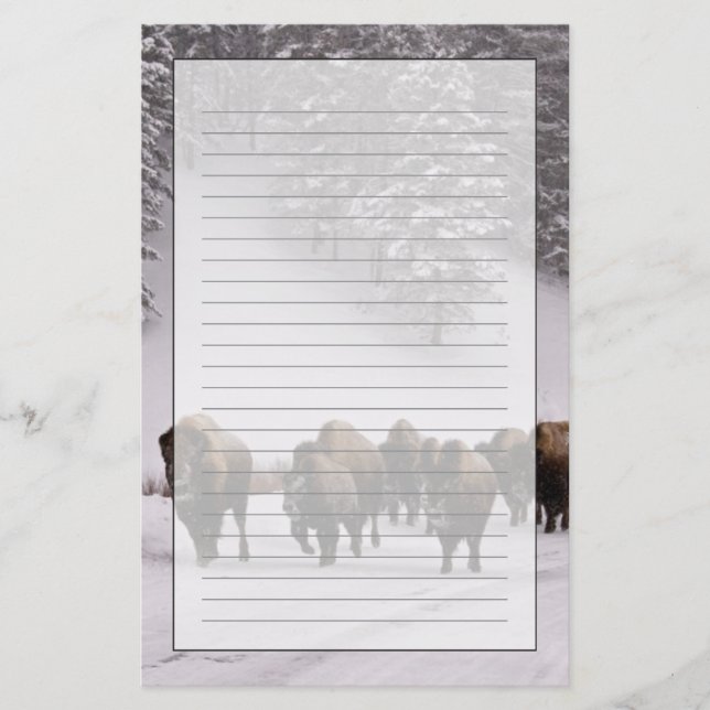 Bison i vinter brevpapper (Framsida)