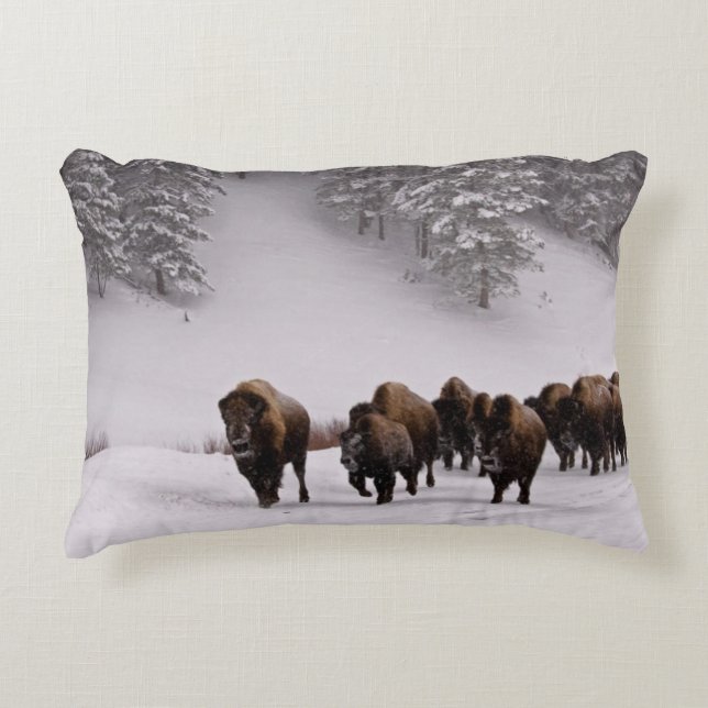 Bison i vinter prydnadskudde (Framsidan)