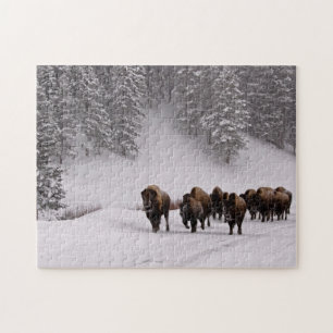 Bison i vinter pussel