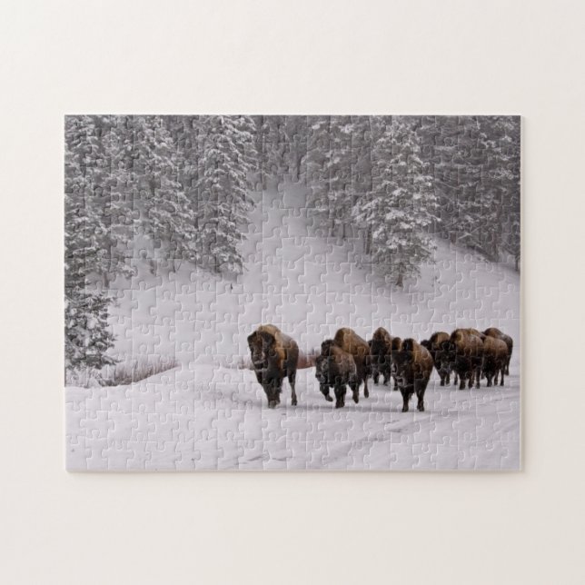 Bison i vinter pussel (Horisontell)