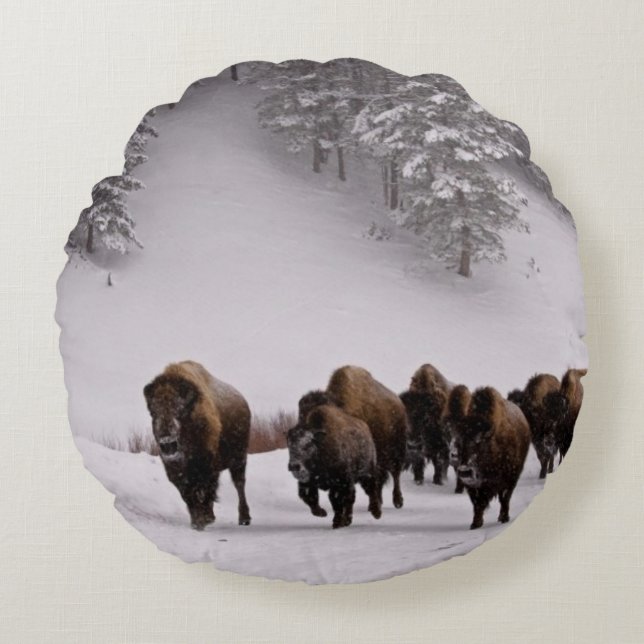 Bison i vinter rund kudde (Framsidan)