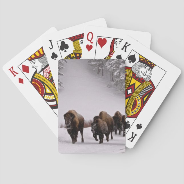 Bison i vinter spelkort (Baksidan)