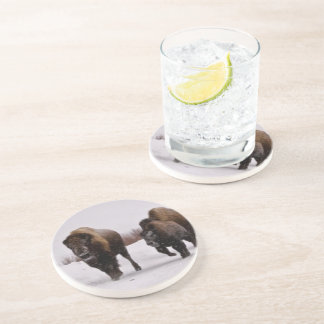 Bison i vinter underlägg sandsten