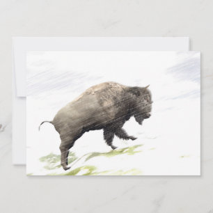 Bison i vinterstormen