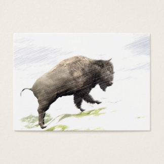 Bison i vinterstormen visitkort