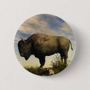 Bison Knapp
