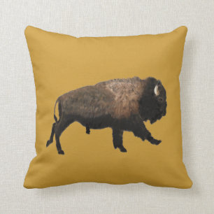 Bison Kudde