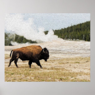 Bison med gammal fathful i gulsten poster