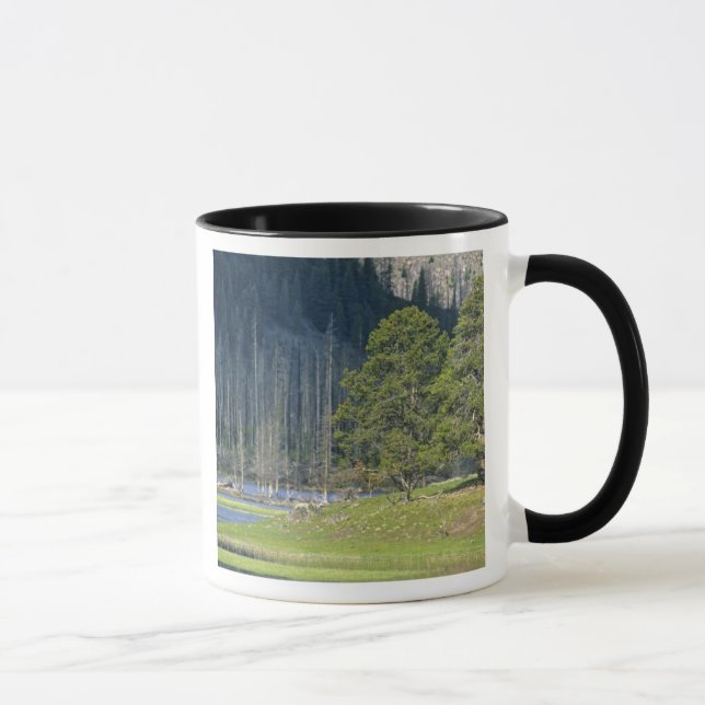 Bison med kalv i Yellowstone National Park Mugg (Höger)