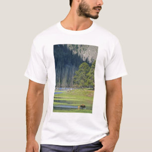 Bison med kalv i Yellowstone National Park T Shirt