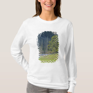Bison med kalv i Yellowstone National Park T Shirt