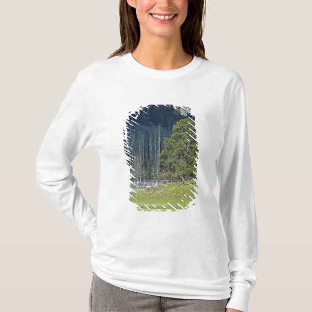 Bison med kalv i Yellowstone National Park T Shirt (Framsida)