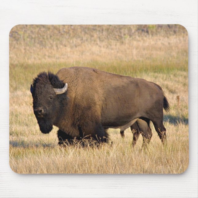 Bison mousepad musmatta (Framsidan)