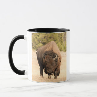 Bison Mugg