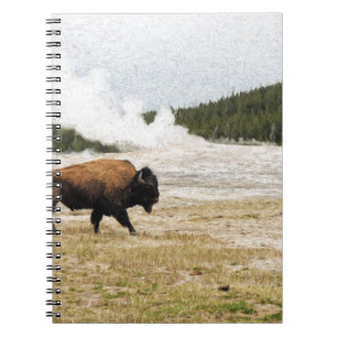 Bison och Gamla Faithful Anteckningsbok Med Spiral