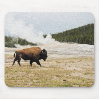 Bison och Gamla Faithful Musmatta