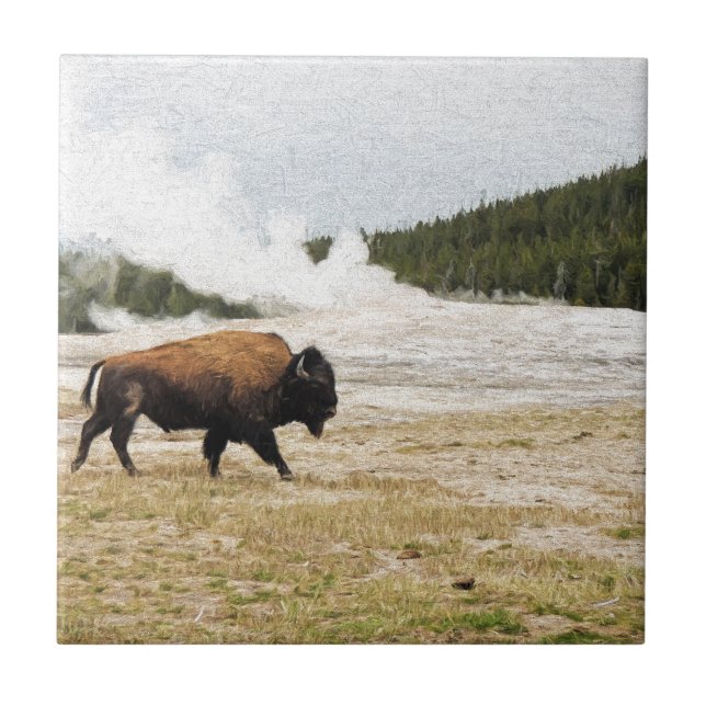 Bison och gammalt troget kakelplatta (Framsidan)