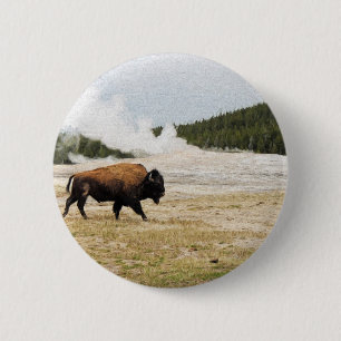 Bison och gammalt troget knapp