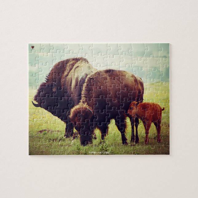Bison och kalvar pussel (Horisontell)