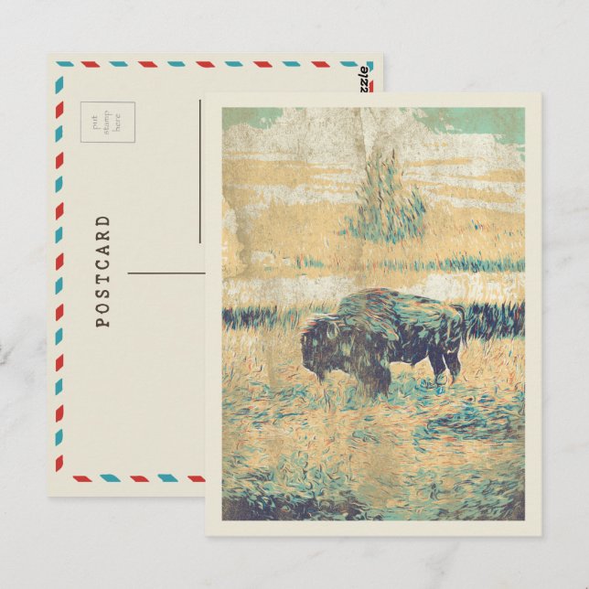 Bison på Amerikas slätter Postkort Vykort (Fram/baksida)