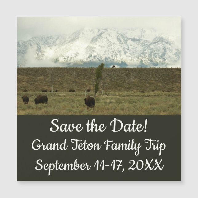 Bison på Grand Teton National Park Photography (Framsida)