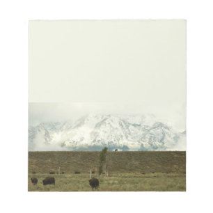 Bison på Grand Teton National Park Photography Anteckningsblock