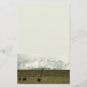 Bison på Grand Teton National Park Photography Brevpapper