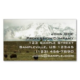 Bison på Grand Teton National Park Photography Magnetiska Visitkort