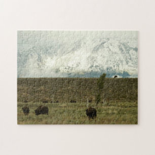 Bison på Grand Teton National Park Photography Pussel
