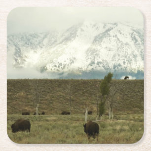 Bison på Grand Teton National Park Photography Underlägg Papper Kvadrat