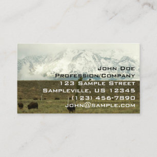 Bison på Grand Teton National Park Photography Visitkort