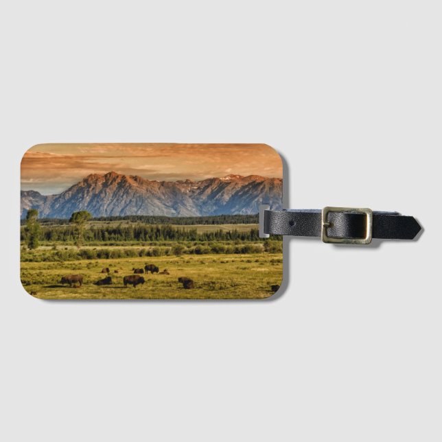 Bison på soluppgången bagagebricka (Framsida horisontal)