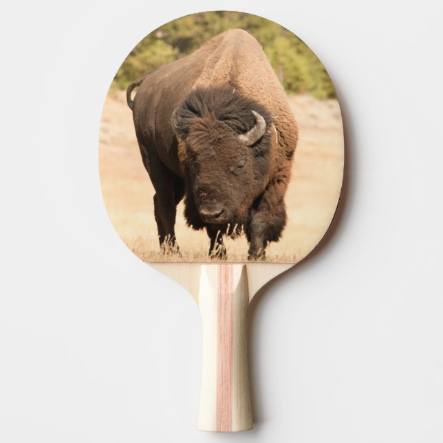 Bison Pingisracket (Framsidan)