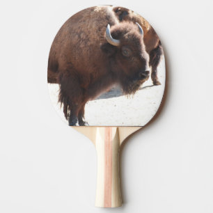 Bison Pingisracket