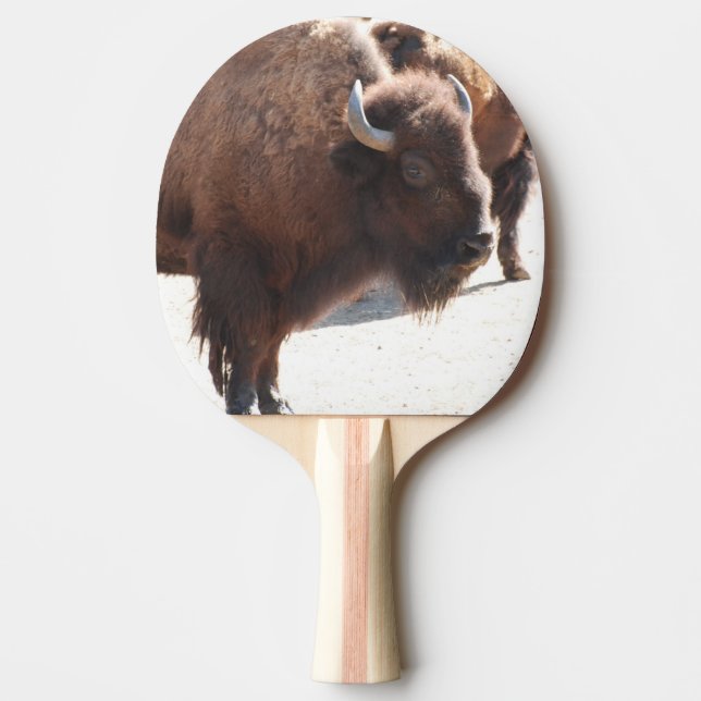 Bison Pingisracket (Framsidan)