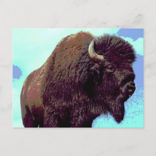 Bison Pop Art Vykort