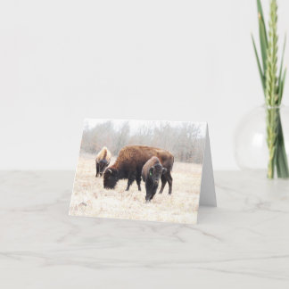 Bison Prairie-anteckningskort Anteckningskort