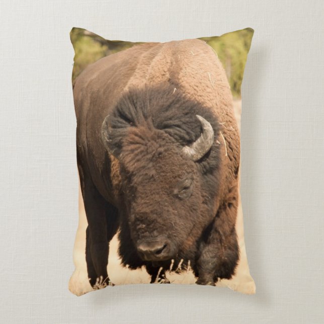 Bison Prydnadskudde (Framsidan(Vertikal))