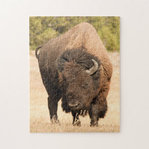 Bison Pussel