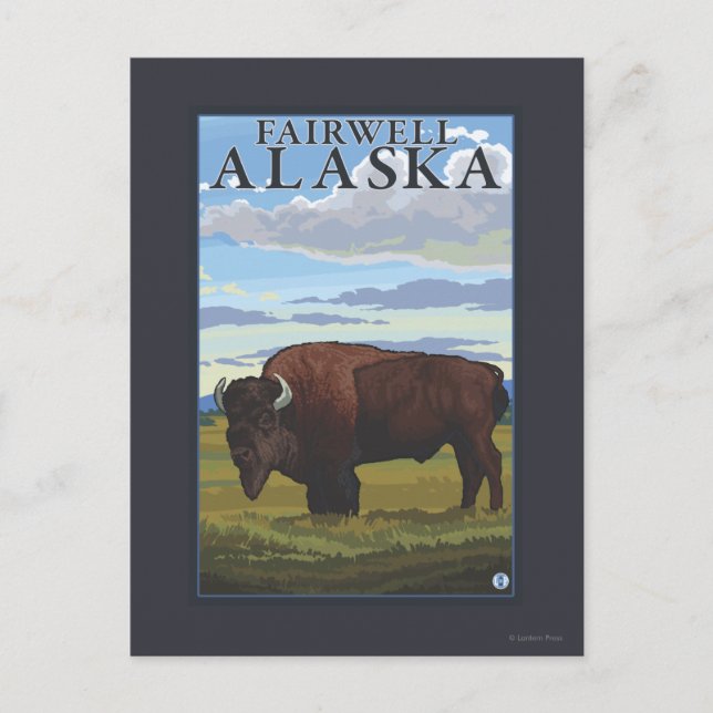 Bison Scen - Fairwell, Alaska Vykort (Framsida)