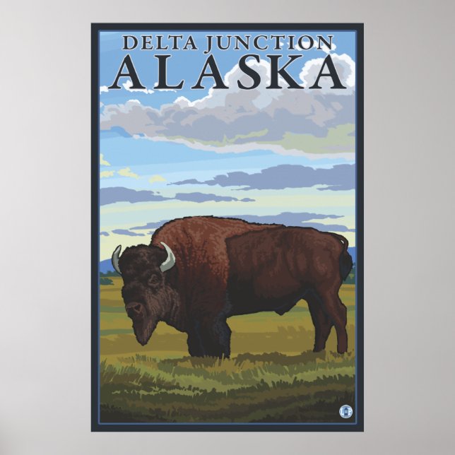 Bison Scene - Delta Junction, Alaska Poster (Framsidan)