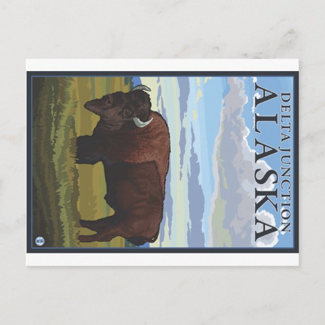 Bison Scene - Delta Junction, Alaska Vykort (Framsida)