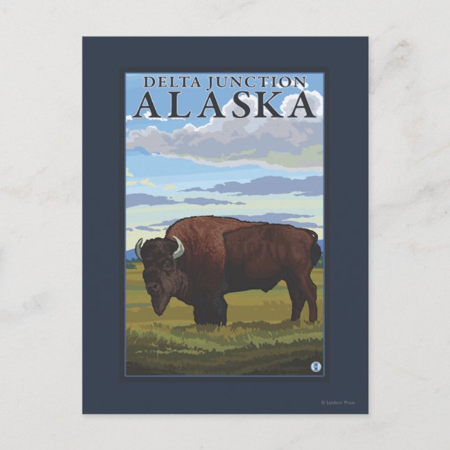 Bison Scene - Delta Junction, Alaska Vykort (Framsida)