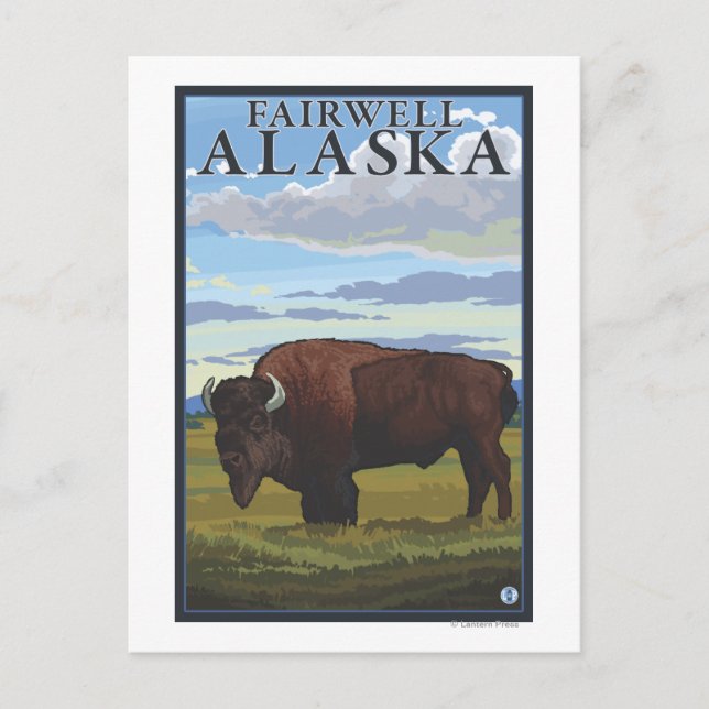 Bison Scene - Fairwell, Alaska Vykort (Framsida)