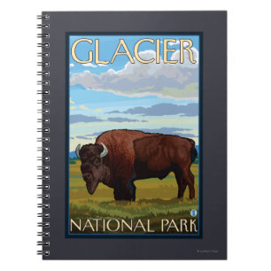 Bison Scene - Glacier National Park, MT Anteckningsbok Med Spiral