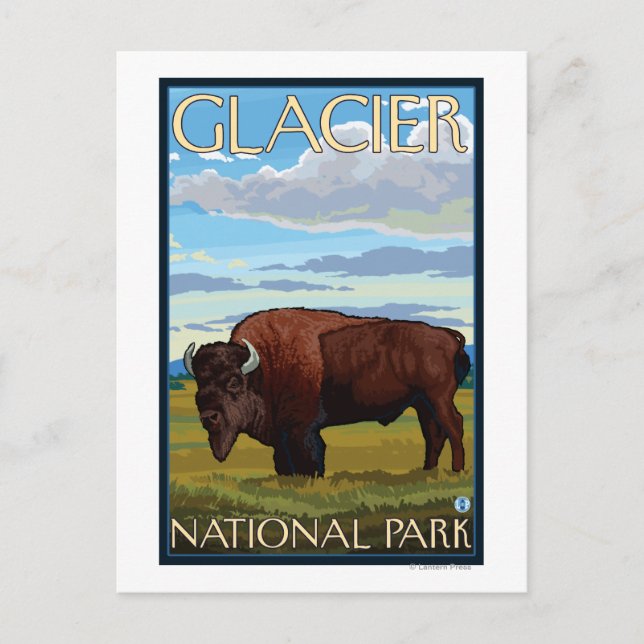 Bison Scene - Glacier National Park, MT Vykort (Framsida)