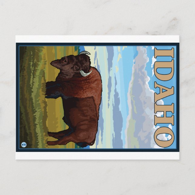 Bison Scene - Idaho Vykort (Framsida)