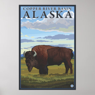 Bison Scene - kopparavrinningsområdet, Alaska Poster