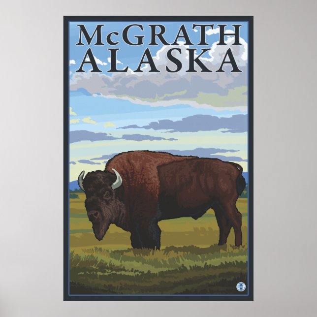 Bison Scene - McGrath, Alaska Poster (Framsidan)